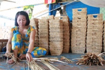 Kiên Giang: Triển khai nhiều mô hình đào tạo nghề đạt hiệu quả